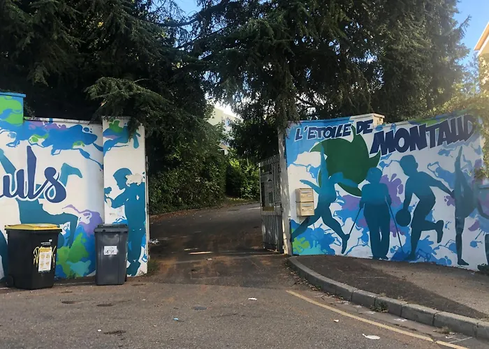 Sci Zlr * Saint-Etienne (Loire)